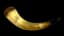 Powder Horn